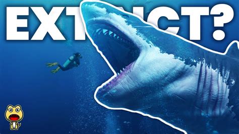 Top 10 Reasons The Megalodon Still Exists Youtube