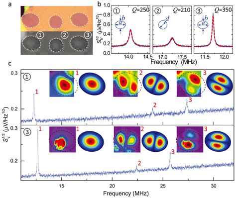 Elliptic MoS2 Nanomechanical Resonators And Mapping Of Their Multimode