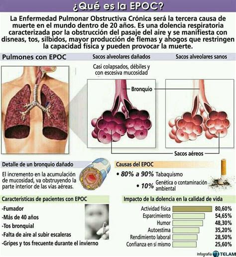 Infografia Enfermedad Pulmonar Obstructiva Cronica Infografia Salud Causas De Las Enfermedades