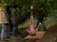 Naked Lydia McLane In The Pet