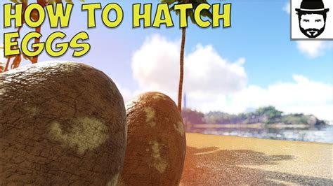 How To Hatch Eggs Ark Survival Evolved YouTube