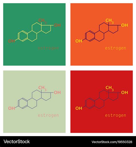 Estrogen Molecule Progesterone Female Sex Hormone Skeletal Chemical