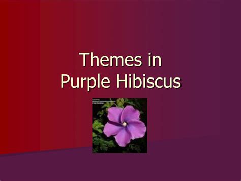 PPT - Themes in Purple Hibiscus PowerPoint Presentation, free download - ID:219561