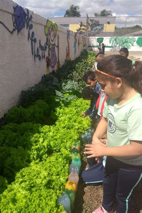 PAIS E ESTUDANTES CULTIVAM HORTA NA ESCOLA MUNICIPAL MANSUR GUÉRIOS