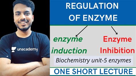 Regulation Of Enzymes Enzyme Induction And Repression Enzyme