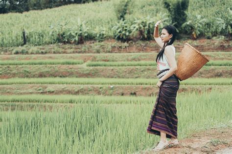 Chiang Mai Rice fields » Chai Lai Orchid