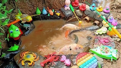 Mancing Ikan Hias Dikolam Ikan Cupang Bebek Lucu Ikan Lele Lobster