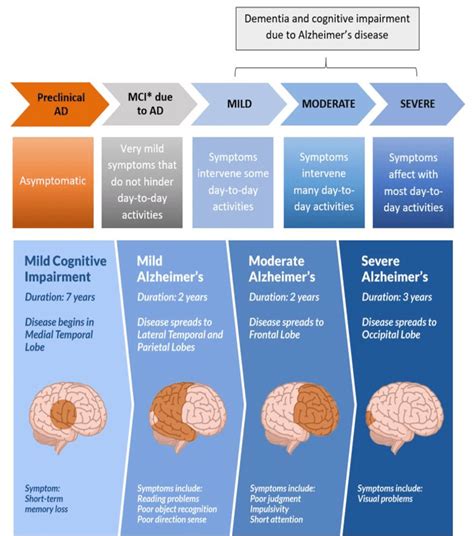 The progression of Alzheimer's disease from brain changes. | Download Scientific Diagram