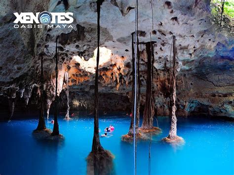 Xenotes Oasis Maya Tour Cancun Project Expedition