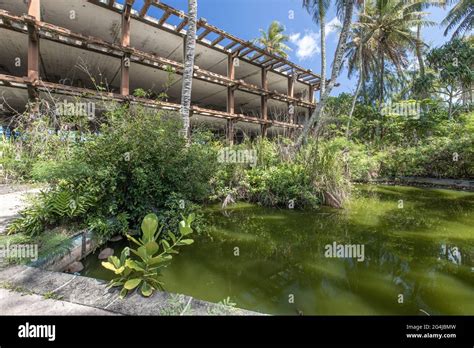 Coco palms resort, kauai hi-res stock photography and images - Alamy