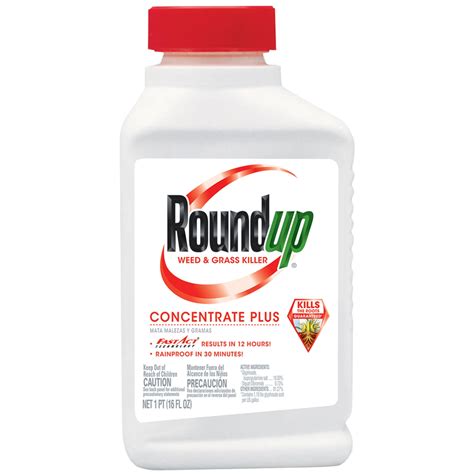 Roundup Weed Grass Killer Concentrate Plus Walmart