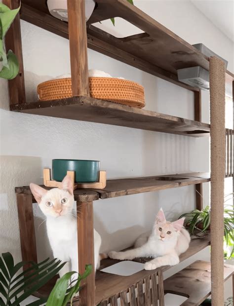 Talented Cat Mommy Builds A Diy Aesthetic Cat Tree For Her Adorable