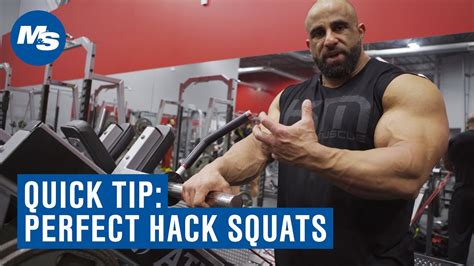 Quick Tip How To Perfect Your Hack Squats Youtube