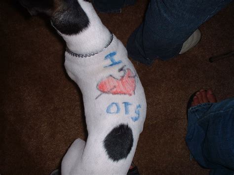 Tattooed Dogs ~ info