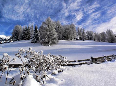 Scenery Wallpaper Fond D écran Gratuit Paysage Sous La Neige