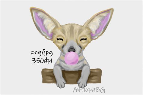 Fennec Fox Drawing Graphic By Antiopabg · Creative Fabrica