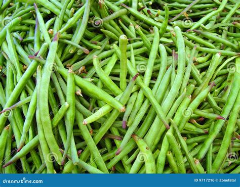 Cowpeas Royalty Free Stock Image - Image: 9717216