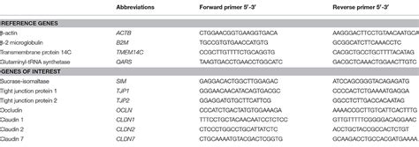 Frontiers Mitochondrial ATP Depletion Disrupts Caco 2 Monolayer