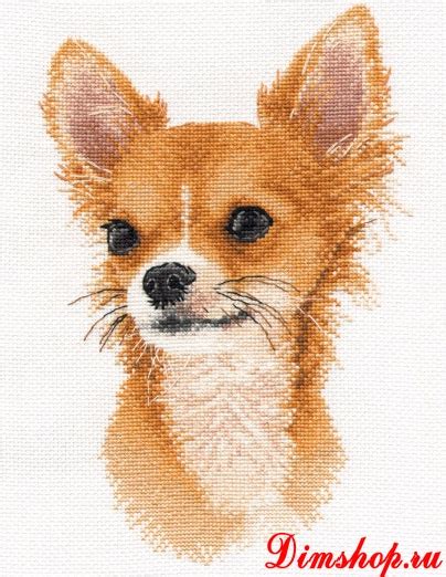 Наборы для вышивания Овен (страница 1)