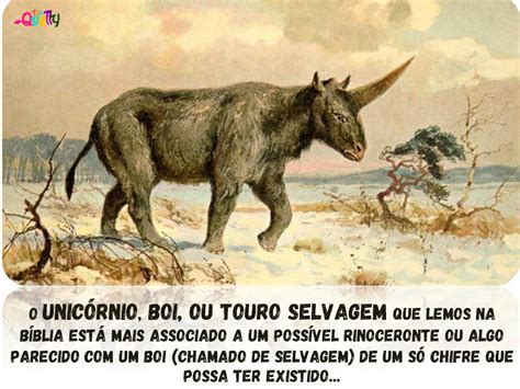 O Que Significa Unicórnio Na Bíblia - Significado De Unicórnio Na Bíblia - RETOEDU