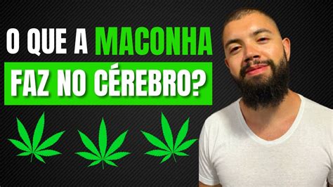 O QUE A MACONHA FAZ NO CÉREBRO YouTube