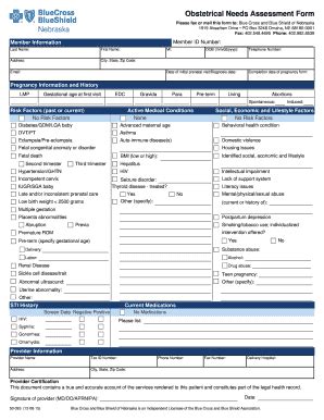 Fillable Online Obstetrical Needs Assessment Form Blue Cross And Blue