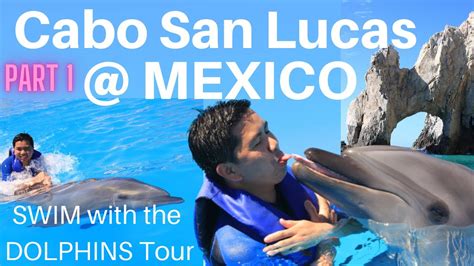 Swim With The Dolphins Tour Cabo San Lucas Mexico Know The