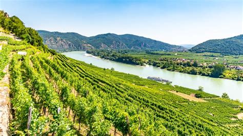 The Wachau Valley, Austria: vineyards, villages and medieval castles | Faraway Worlds