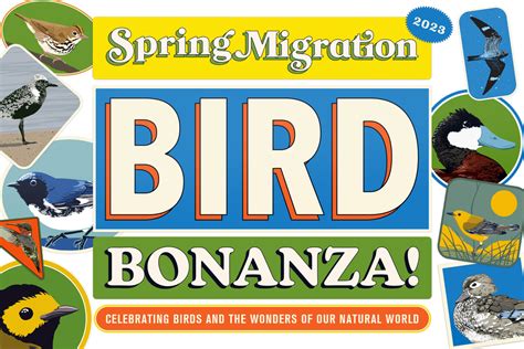 Spring Migration Bird Bonanza | Blandford Nature Center