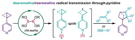 Boron Chem Research On Twitter Diboron Catalyzed Remote