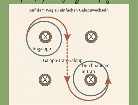 The Diagram Shows Three Circles With Arrows Pointing In Different