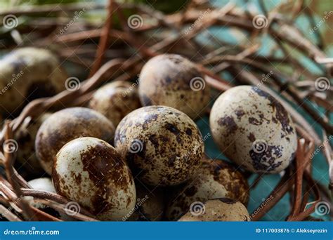 Quail Eggs On Old Brown Wooden Surface With Green Blurred Natural