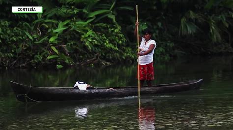 Tribug Declarada Reserva De Biosfera Por Unesco Teleantioquia