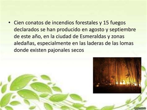 Los Incendios Forestales Ppt