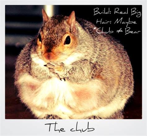 Gay Men Are You A Jock Otter Bear Or Wolf PairedLife