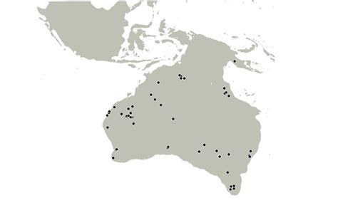 Mapping The Superhighways Travelled By The First Australians