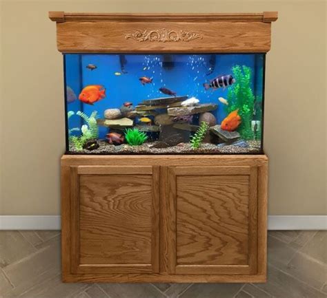 Gallon Fish Tank Gallon Aquarium Custom Aquariums