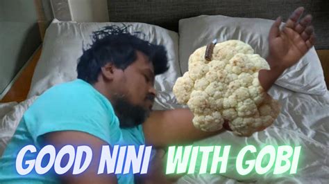 GOOD NINI WITH GOBI - YouTube