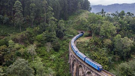 Nature Forest Trees Railway Train Bridge 2560x1439 Wallpaper