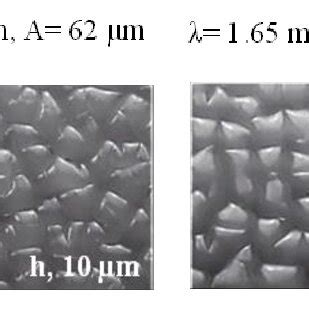 Morphological Patterns Develop Even When A H PDMS Is Top Coated With A