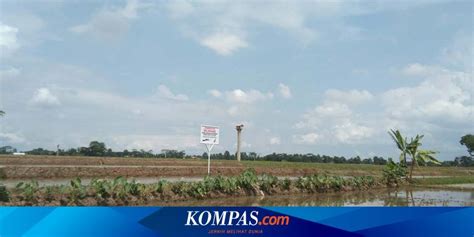 Hadi Tjahjanto Jamin Aturan Lahan Sawah Dilindungi Clear