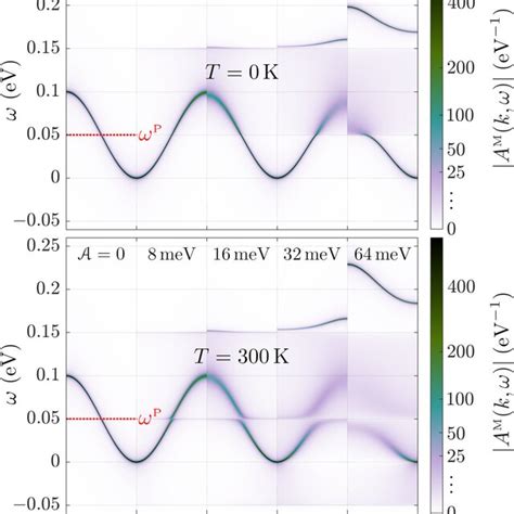 Magnitude of the renormalized magnon spectral function A M k ω at T