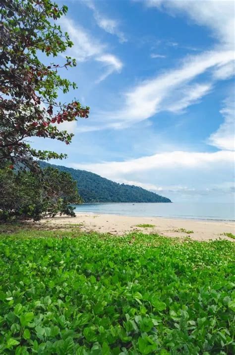 Tanjung Datu National Park: A Wonderful Hidden Paradise