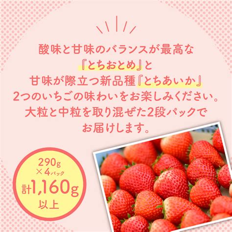 新旧2種食べ比べセット（とちおとめ、とちあいか）290g×4パック 116kg以上【先行予約 数量限定 栃木県 果物 くだもの フルーツ 苺