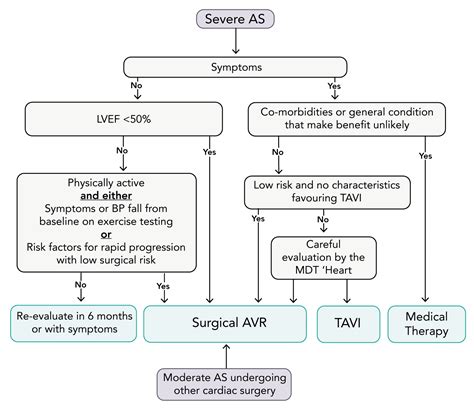 Aortic Stenosis Theguidewire