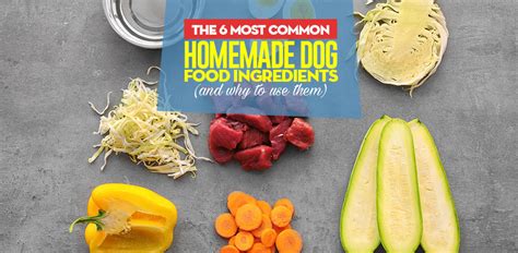 common homemade dog food ingredients