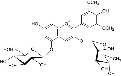 フラボノイドコレクション一覧AnthocyaninMalvidin 3 O rhamnoside 5 O glucoside