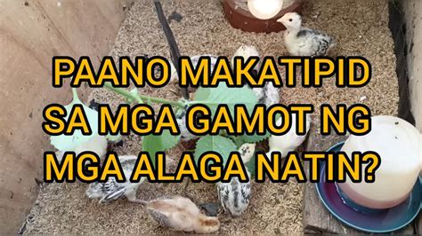 Paano Makatipid Sa Mga Gamot Ng Mga Alaga Natin Pabo Turkey