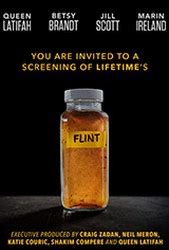 Flint (2017) Cast, Crew, Synopsis and Information