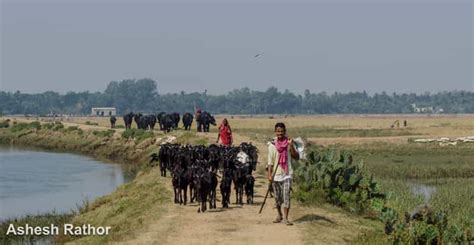 Astaranga The Coastal Area Of Odisha India Astaranga Port Plan On